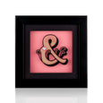 Dollydagger x Curly Mark Pink Circus Ampersand Acrylic Shadow Box