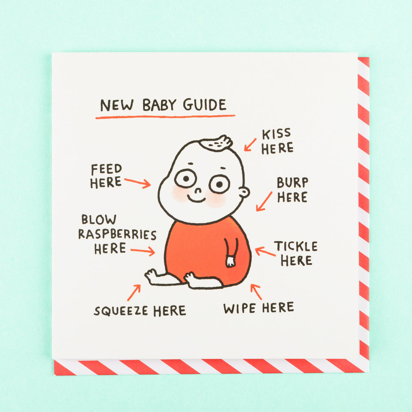New Baby Guide Cute New baby Card Gemma Correll