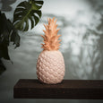 Nude Pink Pineapple Lamp Goodnight Light