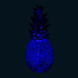 Royal Blue Pineapple Lamp Goodnight Light